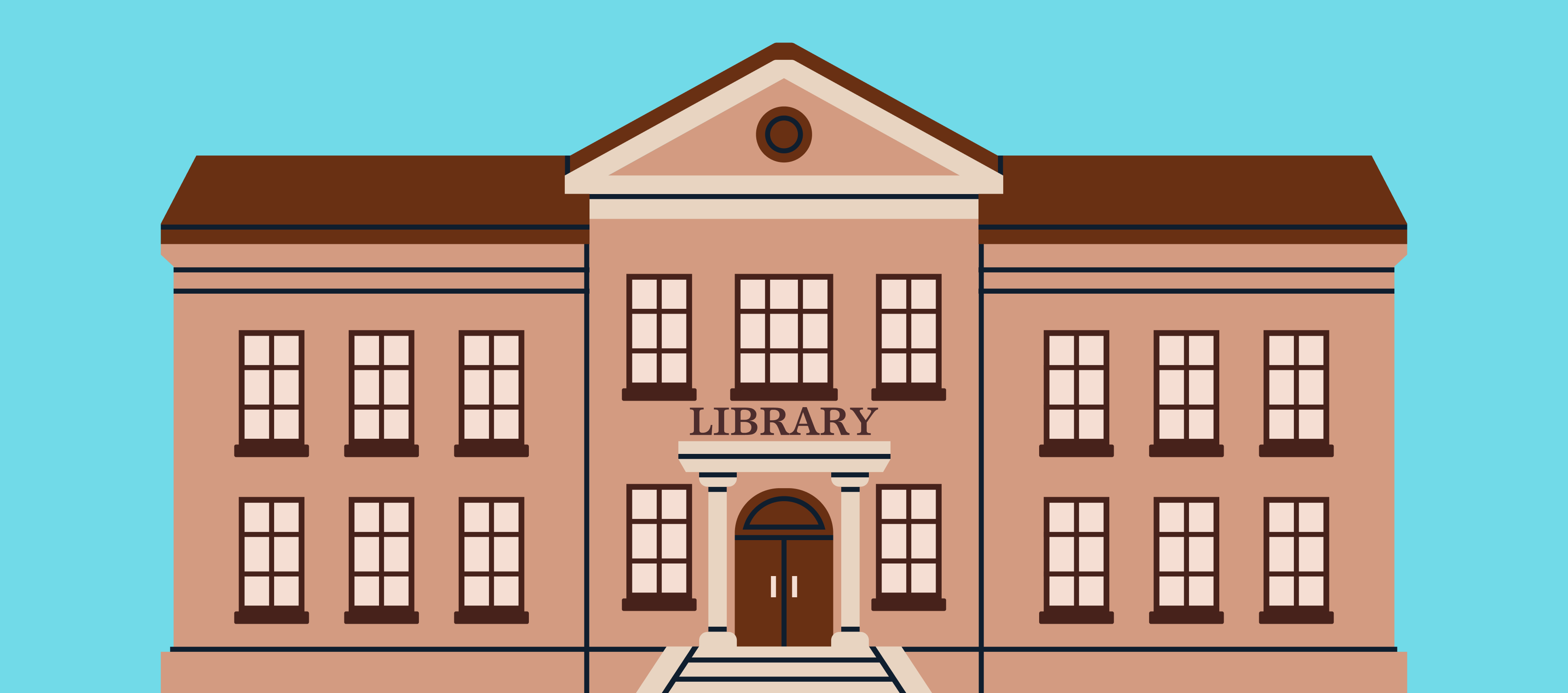 How Public Libraries Bridge the Digital Divide