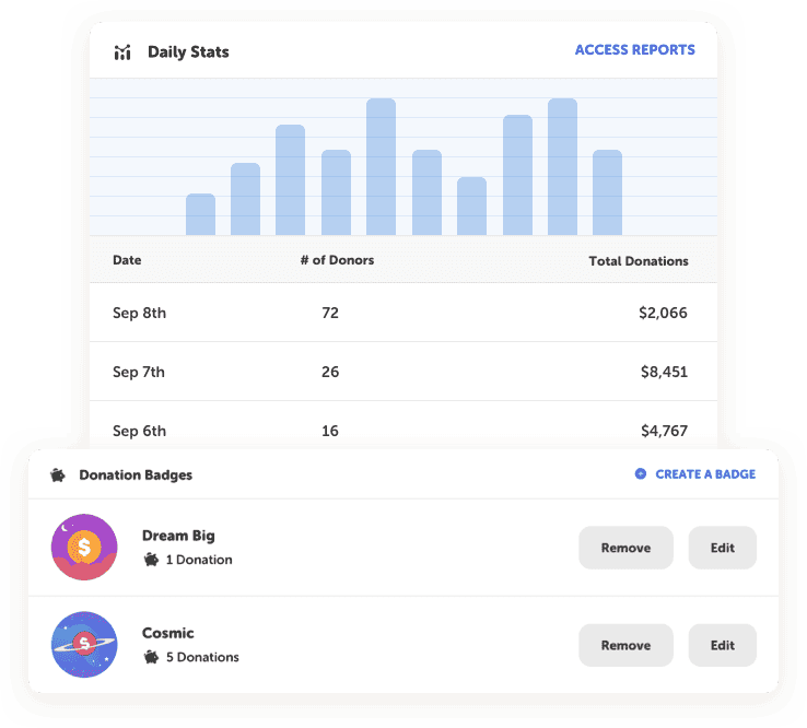 Reading fundraiser report tracking daily donations